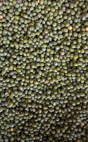 Nylon Ndengu 90Kgs